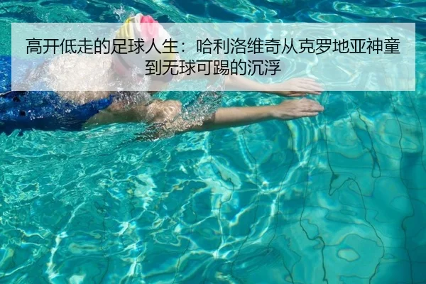 高开低走的足球人生：哈利洛维奇从克罗地亚神童到无球可踢的沉浮（WukongSports）